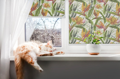 Store intérieur Plantes exotiques