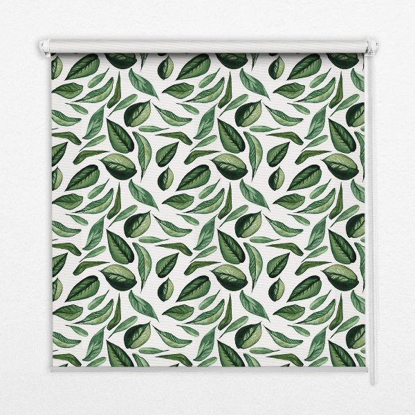 Store intérieur Feuilles tombant des arbres