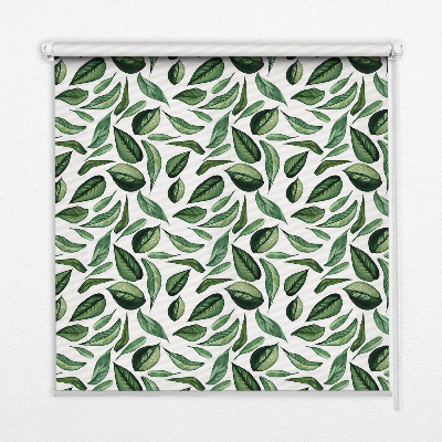 Store intérieur Feuilles tombant des arbres