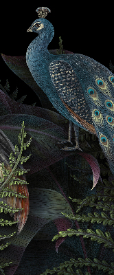 Store enrouleur Patki en vert