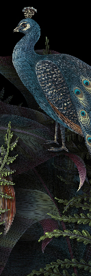 Store enrouleur Patki en vert