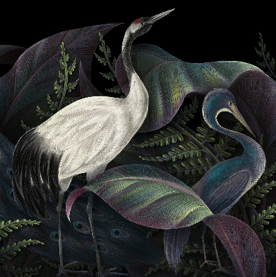 Store enrouleur Patki en vert