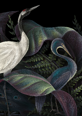 Store enrouleur Patki en vert