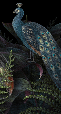 Store enrouleur Patki en vert