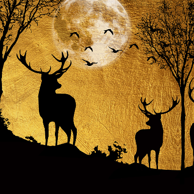 Store enrouleur Cerf la nuit