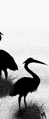 Store intérieur Hérons