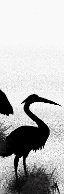 Store intérieur Hérons