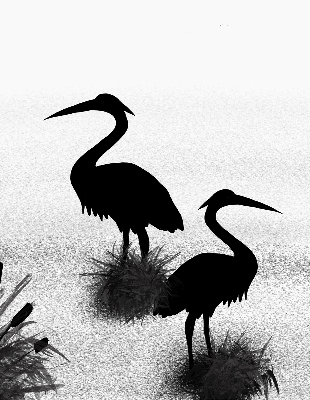 Store intérieur Hérons