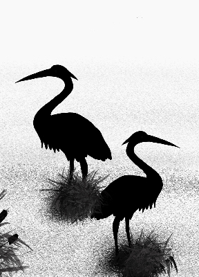 Store intérieur Hérons