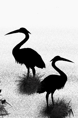 Store intérieur Hérons