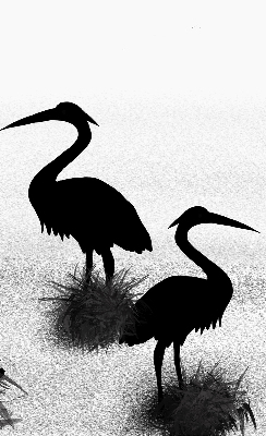 Store intérieur Hérons