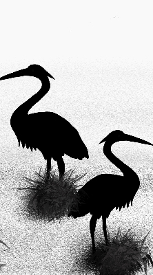 Store intérieur Hérons