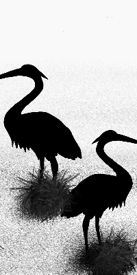 Store intérieur Hérons