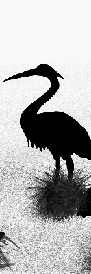 Store intérieur Hérons