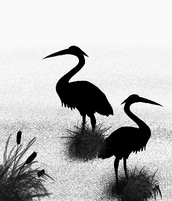 Store intérieur Hérons