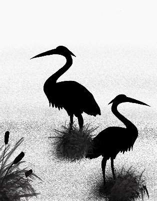 Store intérieur Hérons