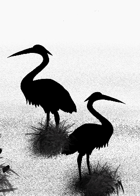 Store intérieur Hérons