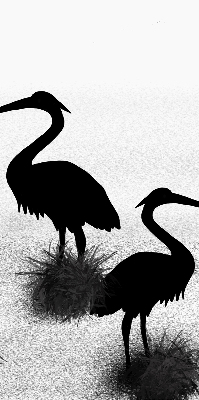 Store intérieur Hérons