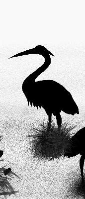 Store intérieur Hérons