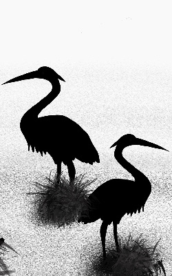 Store intérieur Hérons