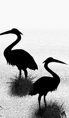 Store intérieur Hérons