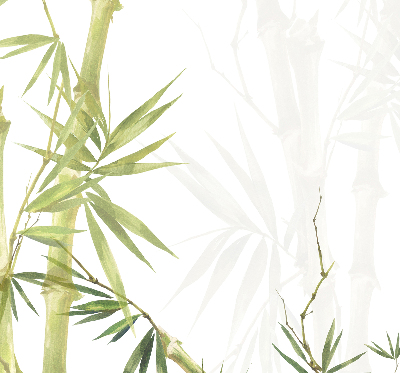 Store enrouleur Bambou