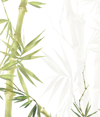 Store enrouleur Bambou