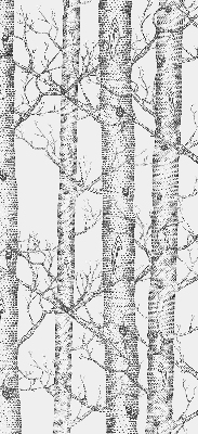 Store enrouleur Malles