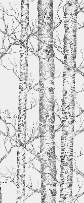 Store enrouleur Malles