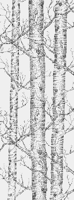 Store enrouleur Malles