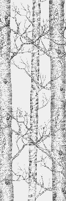 Store enrouleur Malles