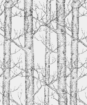 Store enrouleur Malles