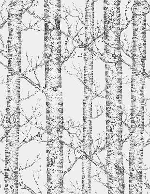 Store enrouleur Malles