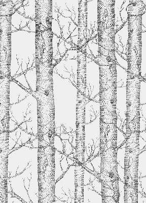 Store enrouleur Malles