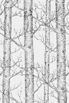 Store enrouleur Malles