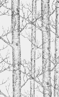 Store enrouleur Malles