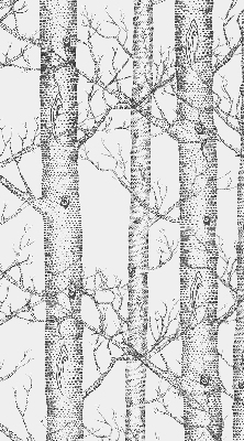 Store enrouleur Malles