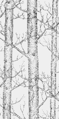 Store enrouleur Malles