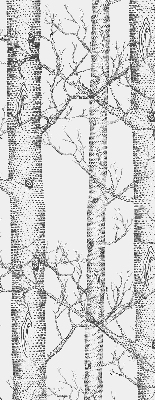 Store enrouleur Malles