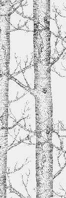 Store enrouleur Malles