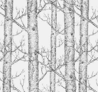 Store enrouleur Malles