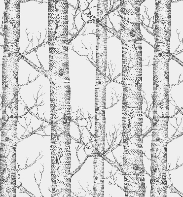 Store enrouleur Malles