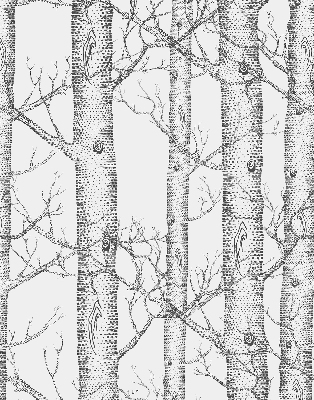 Store enrouleur Malles