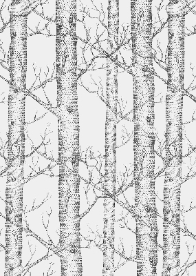 Store enrouleur Malles