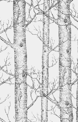 Store enrouleur Malles