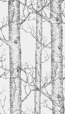 Store enrouleur Malles