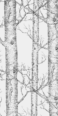 Store enrouleur Malles