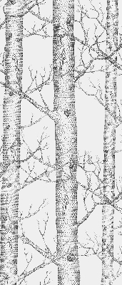 Store enrouleur Malles