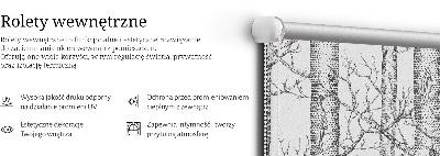 Store enrouleur Malles