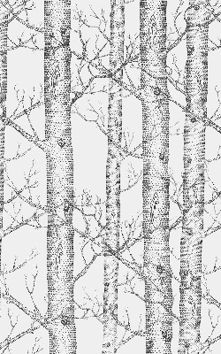 Store enrouleur Malles